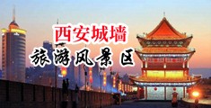 男插男啊嗯中国陕西-西安城墙旅游风景区